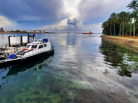 Discover the Beauty of the Ocean with Scuba Diving in Singapore