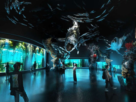 🐠 From Oceanarium to Open Ocean: Dive into Singapore’s Real-Life Marine Adventure
