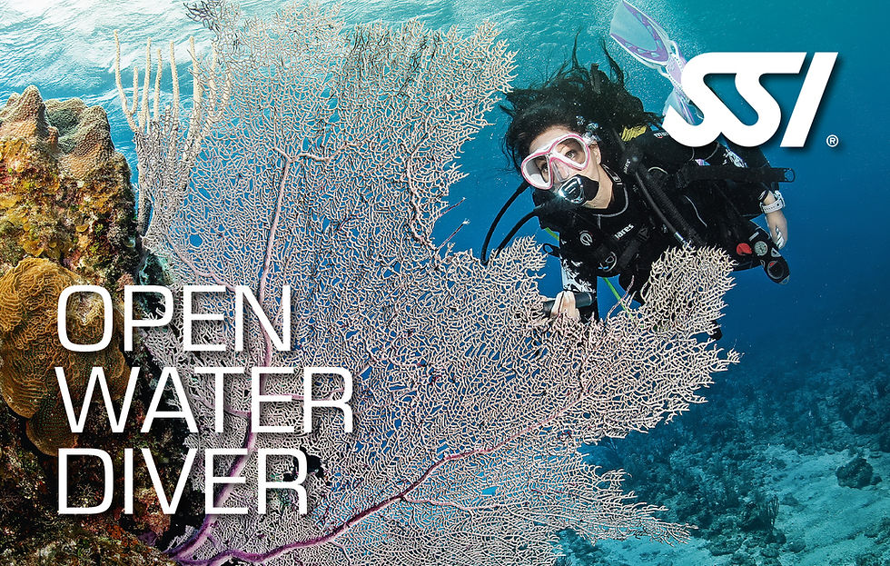 SSI Open Water Theory Class