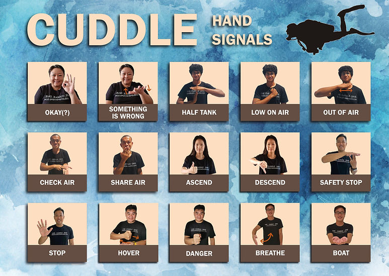 Diving Handsigns.jpg