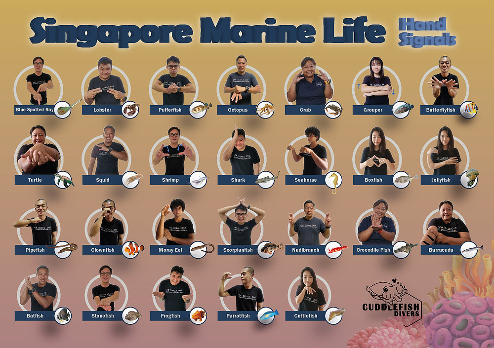 Diving Sign Language Fish At Elaine Sanchez Blog Diving Sign Language Fish At Elaine Sanchez Blog