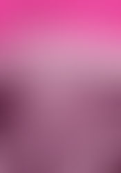 Academia Ursorum feature story: San Francisco - The Genius Of Place