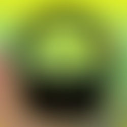 Tallinn Bearty 2020 Music cancelled