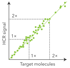 topic-logo_quantitative-larger.png