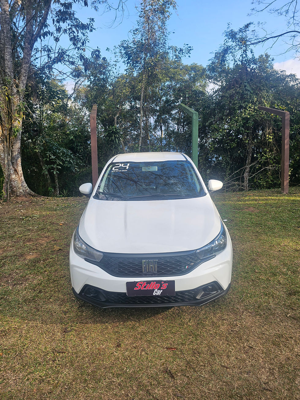 | Fiat | Argo 1.0 Drive | 2024 |