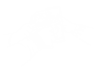05.png