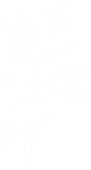 アートボード 7_4x.png