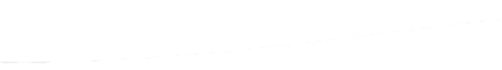 Vector 7.png