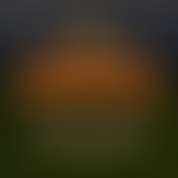 BURIED TREASURE ($110,000 – $160,000)