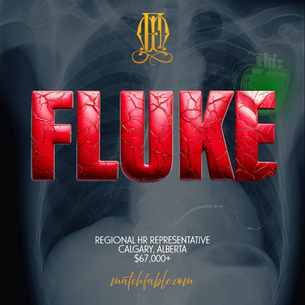 FLUKE ($67,000 + CAR ALLOWANCE + GAS CARD)