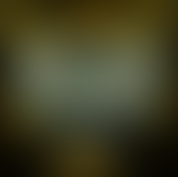 ALL THE STOPS ($165,000 – $215,000+)