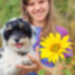 Cavapoo 1b