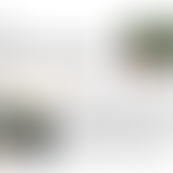 Julehilsen Farming 4 Life 2011