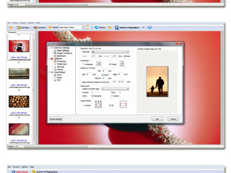 AOMEI Backupper Professional 4.5.2 Crack With License Key
