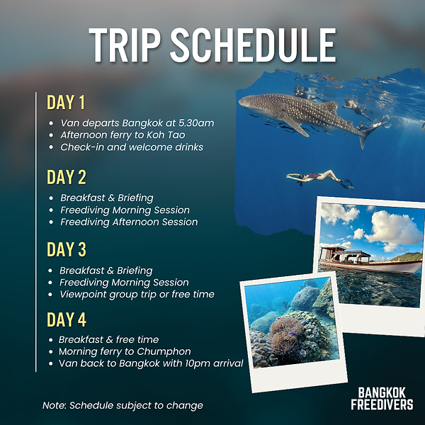 TDEX2025_AW (10).png