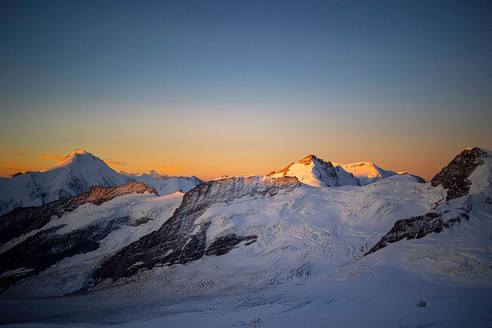 Jungfraufirn