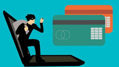 Thugs of Phishing. Internet Frauds.