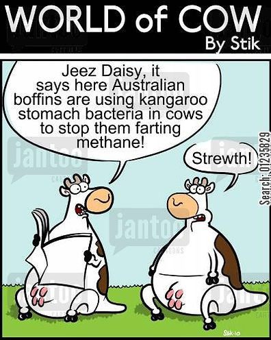 farming-farm_animal-ozone_layer-farm_ani