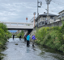 津門川で生物相調査を行いました!