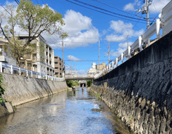 秋の津門川