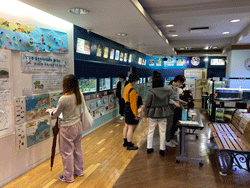 ミニじゃない!ミニミニ水族館