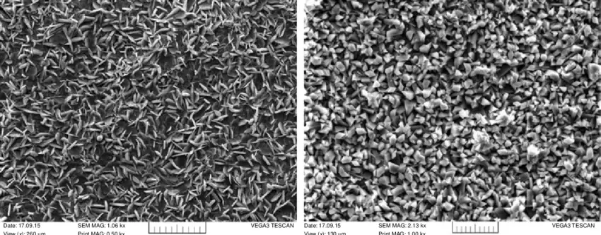 SEM-micrographs-of-the-phosphate-crystal-sizes-a-zinc-phosphate-with-its.webp