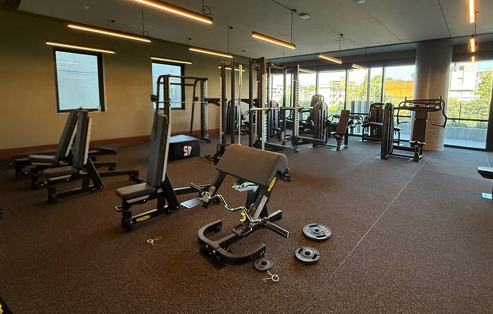 Equipment within an apartment gym, ready to be used by a client and her mobile PT.