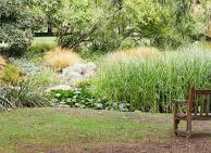Open grassed area at Harry Gregory Reserve in Windsor used for outdoor fitness and personal training sessions