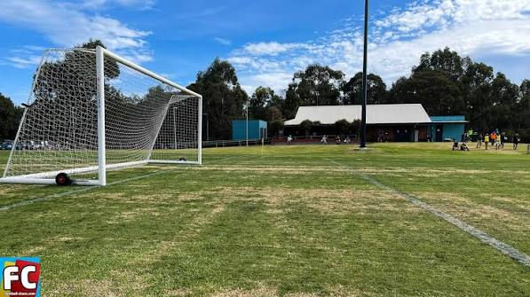 A space in Glen Iris at Dorothy Laver Reserve where Empwr Training outdoor conduct strength sessions.