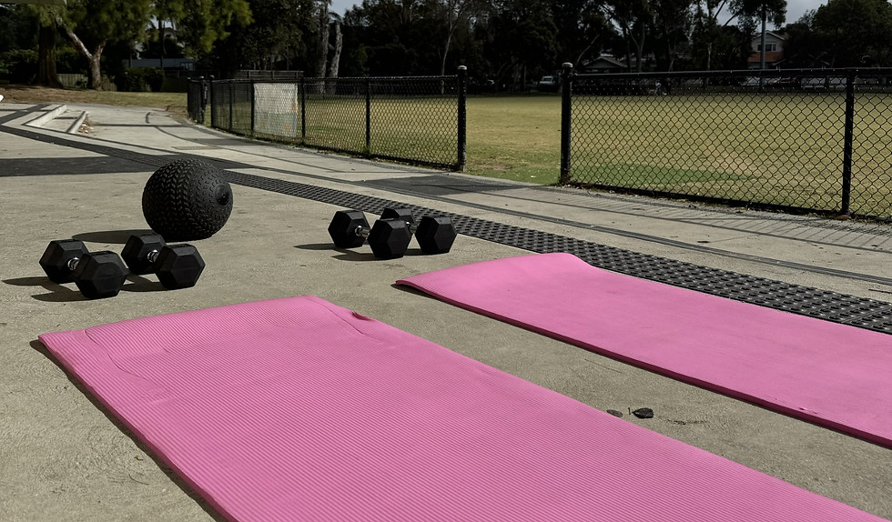 A group personal training session that is being completed outside with 2 people and their mobile personal trainer.