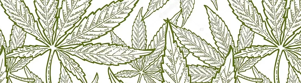 Kentucky Marijuana Card