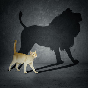 How to transform culture in large organisations