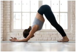 Women in Dolphin Pose