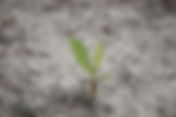 Weds Class: Reclaiming Faith - Healing Church Hurt