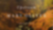 Book Club: Upstream (by Mary Oliver)
