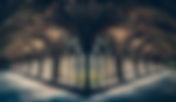 When the World is Your Cloister – Benedictine Practice, Community & Belonging