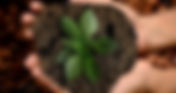 Wednesday Class: The Spirituality of Sustainability