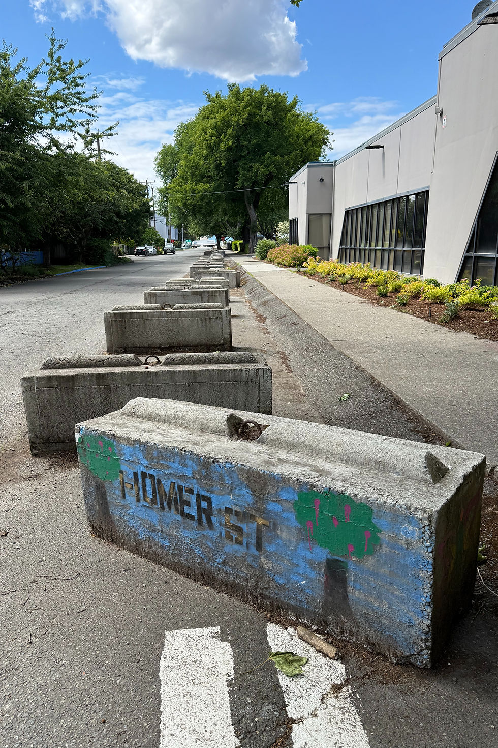 Eco-blocks on South Homer Street in Georgetown. (Photo by Steve Lannen).
