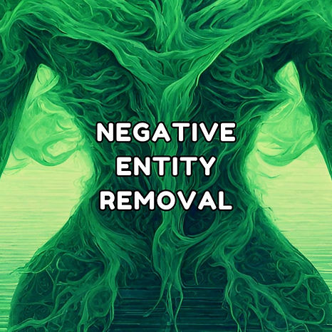 Negative Entity Removal service image
