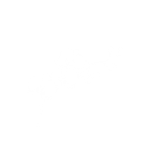 orchid.png