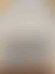 White cabinet with open doors reveals neatly stacked plates, gold-trimmed and blue. Floral wallpaper with blue patterns in the background.