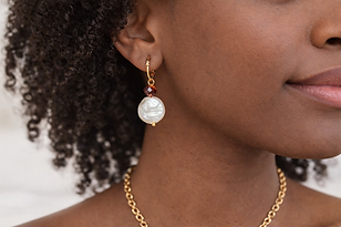 brico madrepeola chata .png