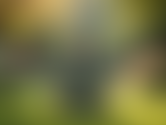 Effective Stress Relief Strategies for Daily Life