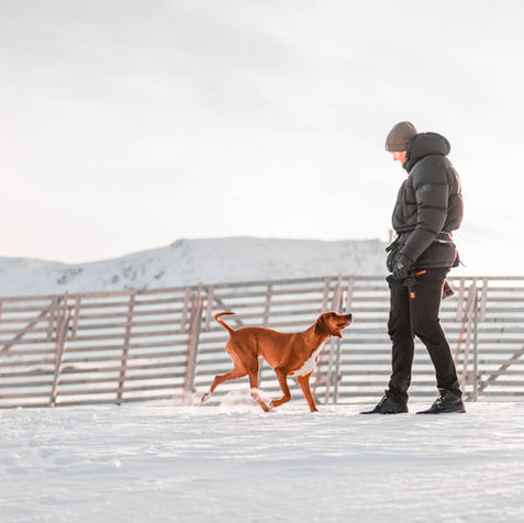 Skjerm Aiki-07931.jpg