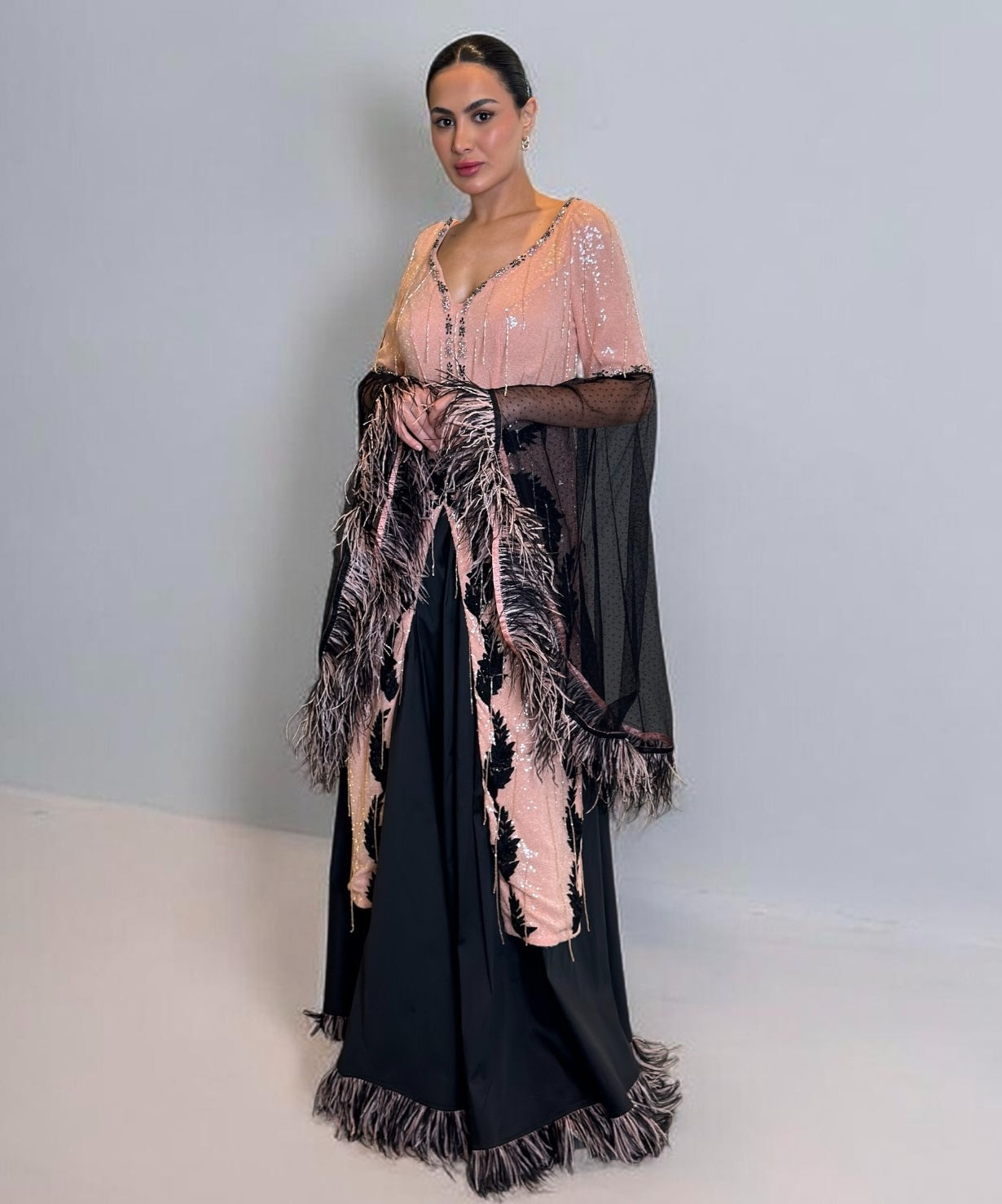 Embroidered dress with feather detail