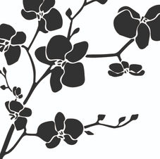 Motif décoratif d'orchidée stylisées en noir et blanc