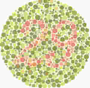 photo 2.PNG.jpeg