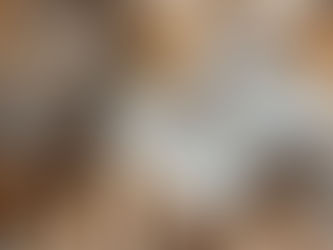 Mardi gras, recette des bugnes et des pets de nones aux raisins 🎭