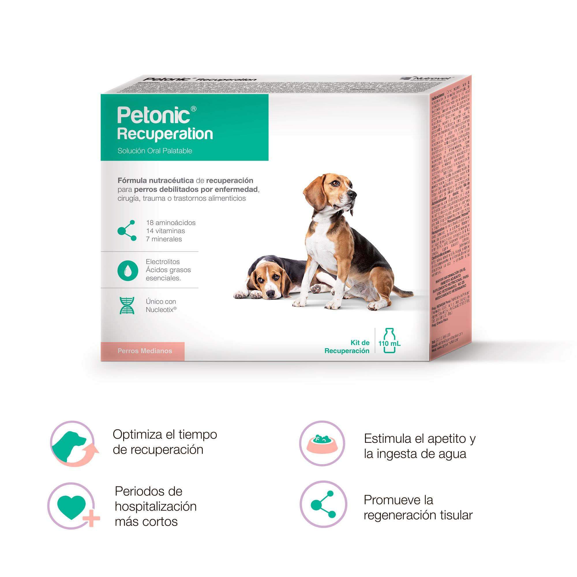 Petonic Recuperation Perro Mediano
