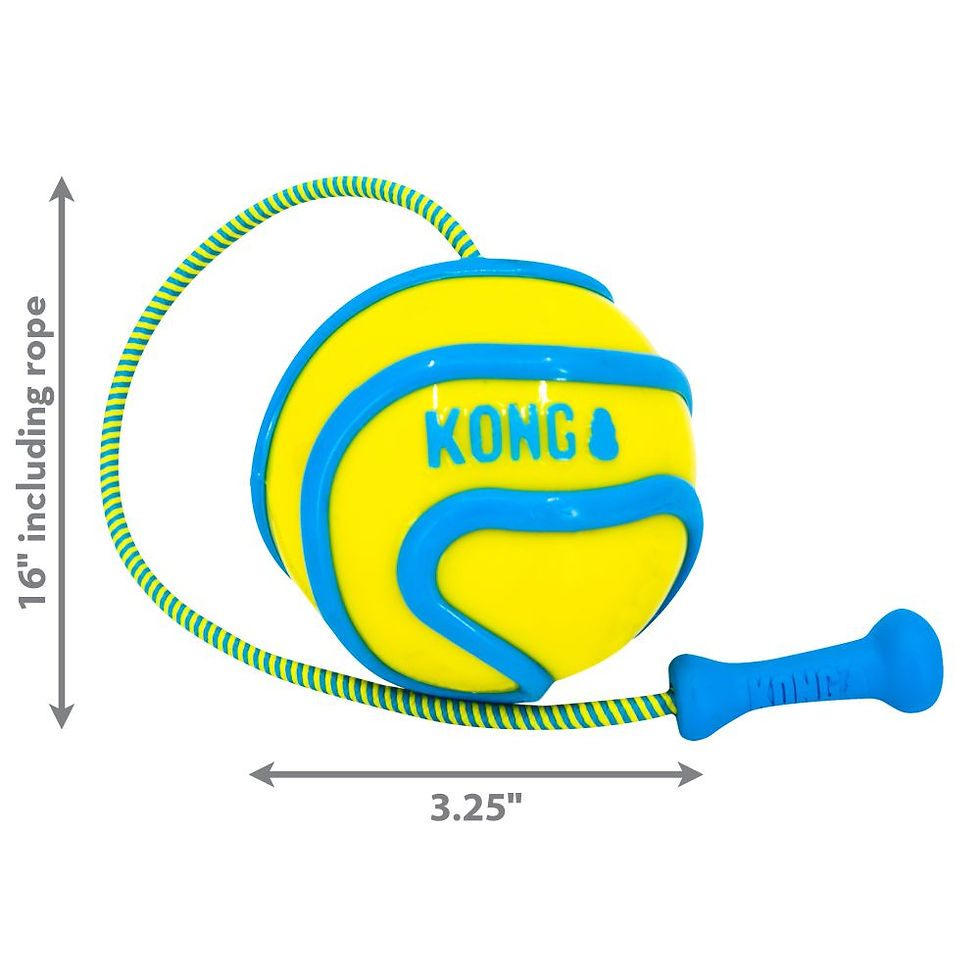 Miniatura: KONG Wavz Bunjiball